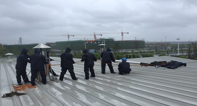 抗擊臺風“利奇馬”  齊心協力保“加”園